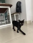 Zoe