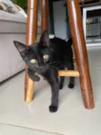 Zoe
