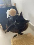 Zoe