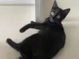 Zoe