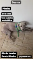 Pantaleão 