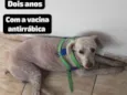Pantaleão