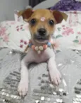 Valentina