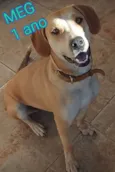 Mag
