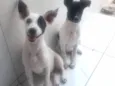 Luna / Estrela