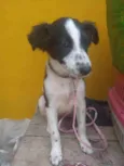 Linda