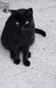 Hugo