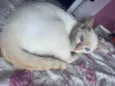 Leticia