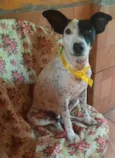 Preciosa