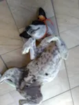 Preciosa