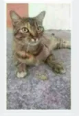 JULLY