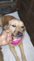Mailla