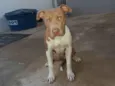Mel