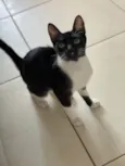 Mia
