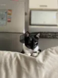 Mia