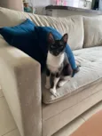 Mia