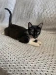 Mia