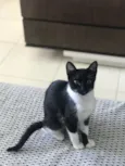 Mia