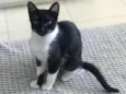 Mia