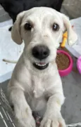 Penélope