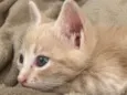 Frederico