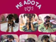 Maria / Ruth / Toninho / Thor / Chorão / Estrelinha