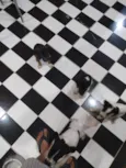 Café, coco, Oreo e leite