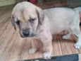 Kaleb