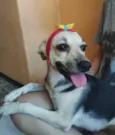 Princesinha