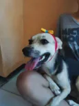Princesinha