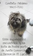 Sem identificação
