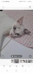 Kid
