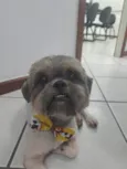 Sem identificação