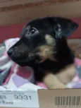 Théo