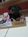 Théo