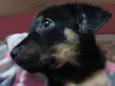 Théo