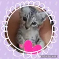 Lulu
