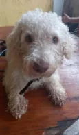 Billy