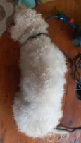 Billy