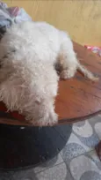 Billy