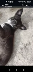 Pandora