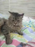 MIWÁ