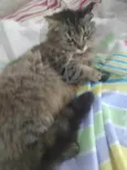MIWÁ