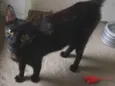 Nina