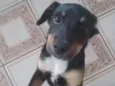 Mel