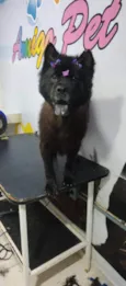 Nick