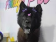 Nick