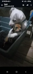 Zeus
