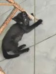 Não tem nome 