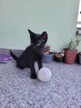 Não tem nome 